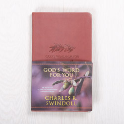 God’s Word for You: An Invitation to Find the Nourishment Your Soul Needs, devotional by Charles R. Swindoll