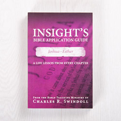 Insight’s Bible Application Guide: Joshua-Esther—A Life Lesson from Every Chapter, paperback by Insight for Living