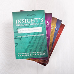 Insights Bible Application Guide Set, Volumes 1-5