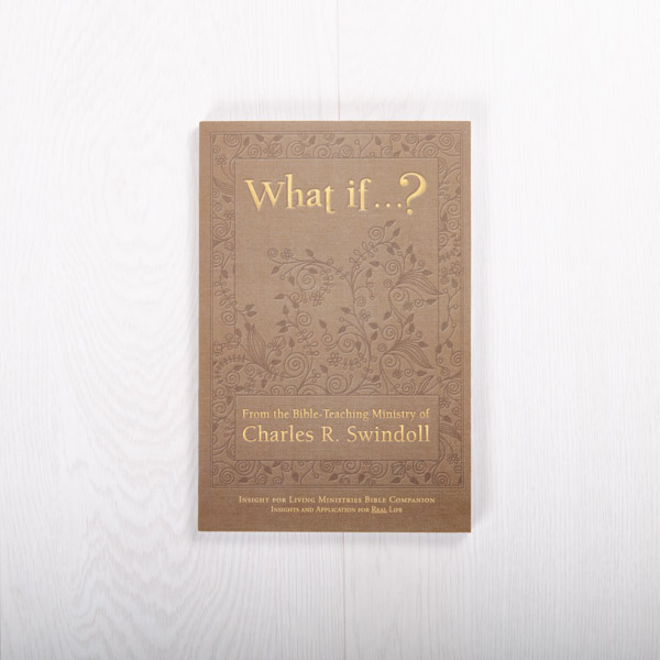 What If…? Bible companion