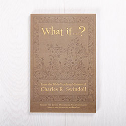 What If…? Bible companion