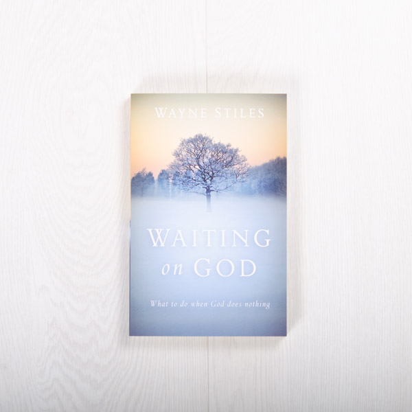 Waiting on God: What to do when God does nothing, paperback by Wayne Stiles